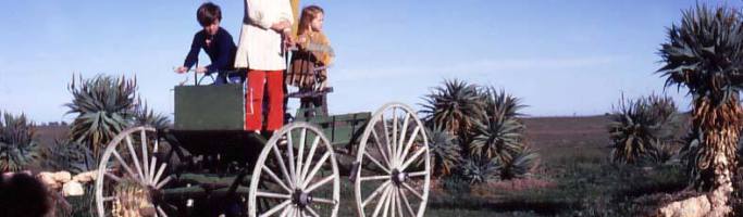 Photo courtesy Diana Field. You knew you were getting close to
Adelaide when you passed the Arizona
Cactus Ranch on Port Wakefield Road.